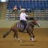 TNRHA Smoky Mountain Reins: